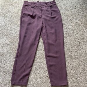 Express Women's Plum Ankle Length Trousers